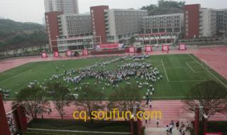 鲁能巴蜀中学分数线